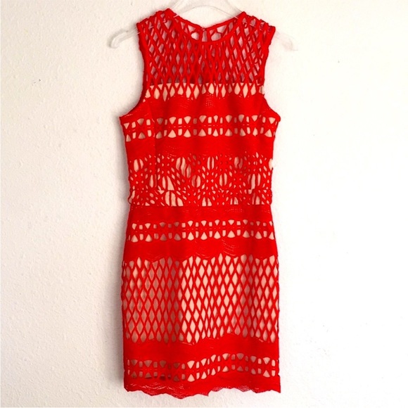 Endless Rose Guipure Lace Dress Chili NWT - Picture 1 of 12